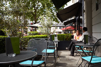 Terrace or Patio