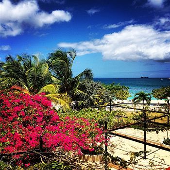 Beach or Ocean View