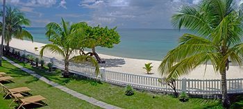 Beach or Ocean View