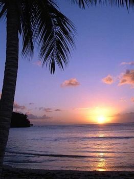 Beach or Ocean View