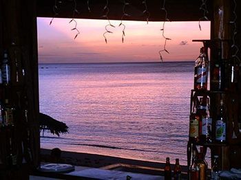 Beach or Ocean View