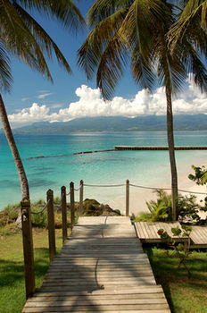 Beach or Ocean View