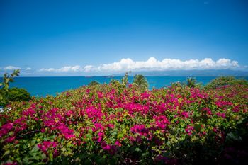 Beach or Ocean View
