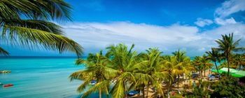 Beach or Ocean View