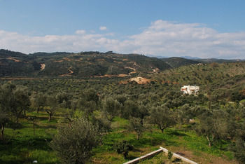 Elaionas Studios photo 2