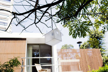 Terrace or Patio
