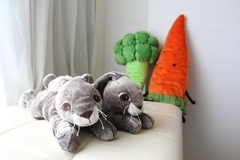 In-Room Amenity