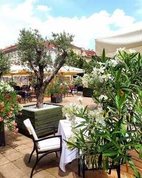 Terrace or Patio