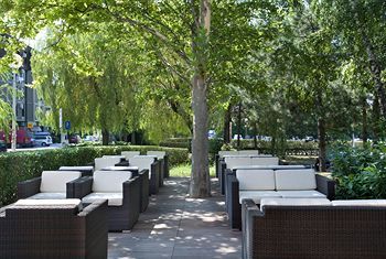 Terrace or Patio