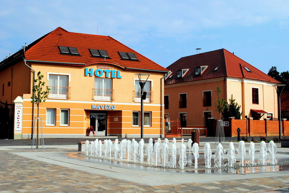 Hotel Viktoria Sarvar image 1