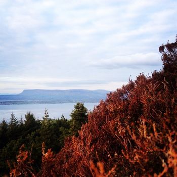 Cromleach Lodge Country House Hotel photo 3