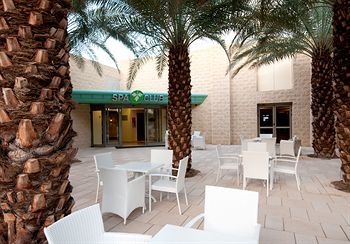 Terrace or Patio