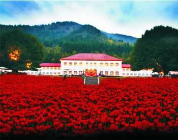 The LaLit Grand Palace Srinagar ジャムー・カシミール州 India thumbnail