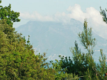Residenza le Rose Villa d'Arte photo 2