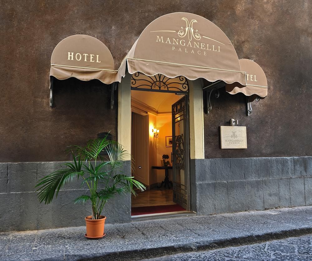 Hotel Manganelli Palace image 1
