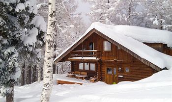 Paradise Chalet photo 2