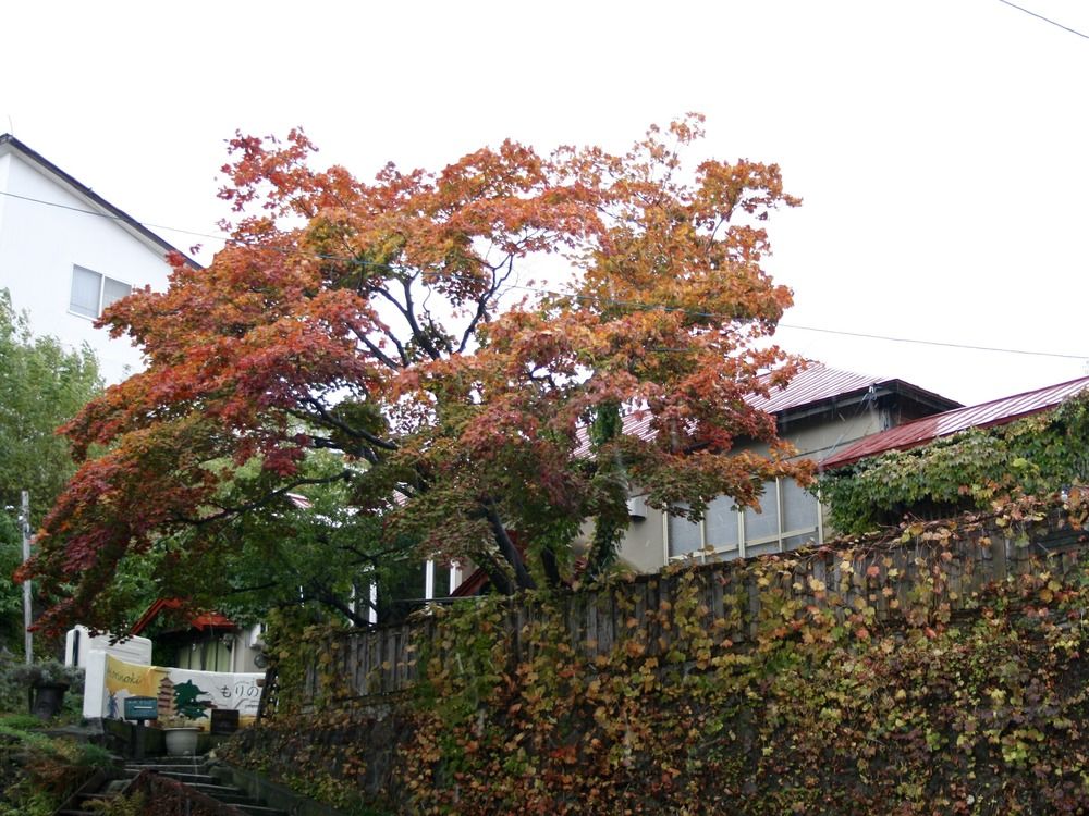 The Otarunai Backpacker's Hostel Morinoki image 1