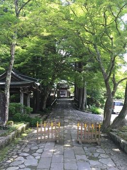 Mount View Hakone - Tap to explore photos