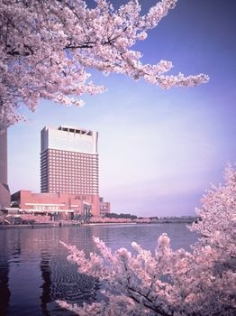 Imperial Hotel Osaka image 1