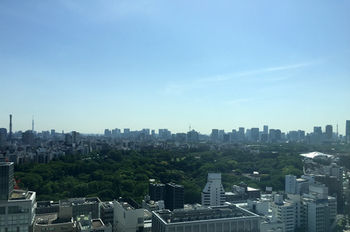 Guestroom View