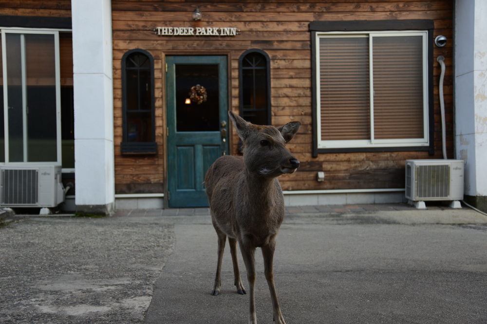 The Deer Park Inn image 1