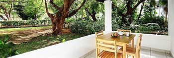 Terrace or Patio