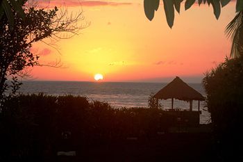 Beach or Ocean View