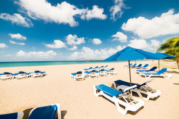 Beach or Ocean View