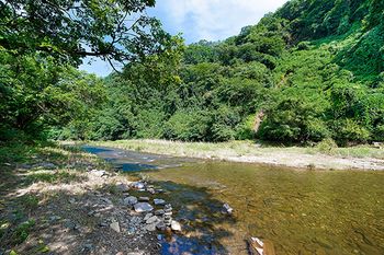Goesan Starlight Pension photo 4