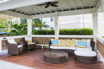 Terrace or Patio