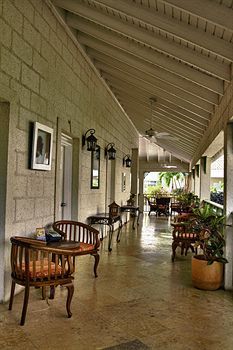 Terrace or Patio