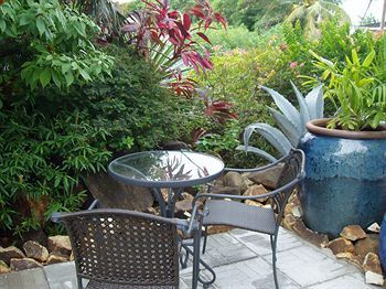 Terrace or Patio