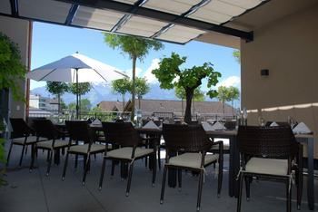 Terrace or Patio