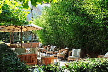 Terrace or Patio