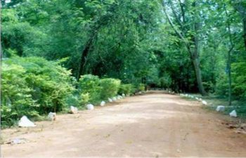 Kothmale Holiday Bungalow photo 4