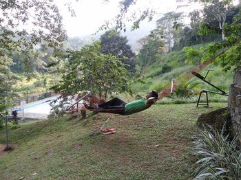 Kothmale Holiday Bungalow photo 5