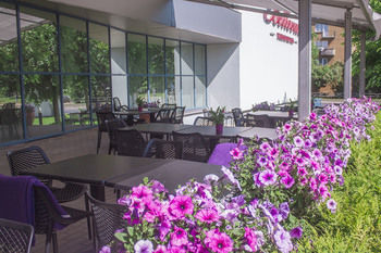 Terrace or Patio