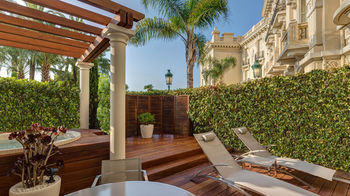 Terrace or Patio
