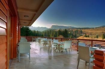 Terrace or Patio