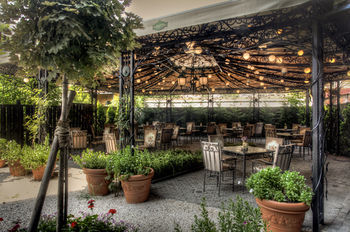Terrace or Patio