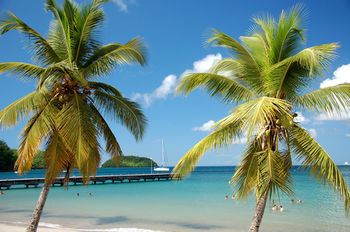 Beach or Ocean View