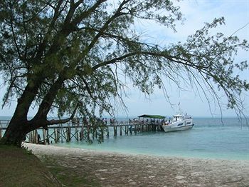 D'Coconut Island Resort photo 4