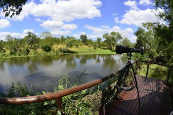 Machampane Wilderness Camp photo 5