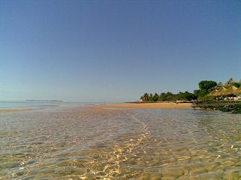 Beach or Ocean View