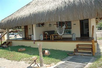 Terrace or Patio