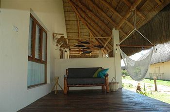 Terrace or Patio