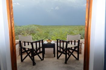 Terrace or Patio