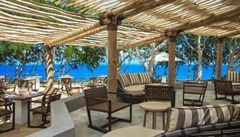 Terrace or Patio