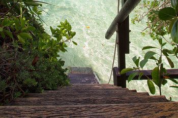 Terrace or Patio