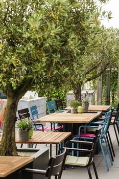 Terrace or Patio